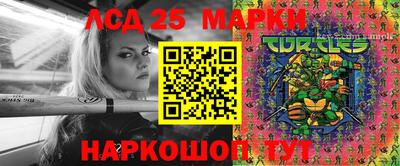 гидра Можга
