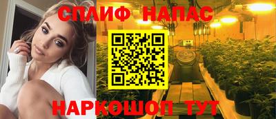 гидра Можга