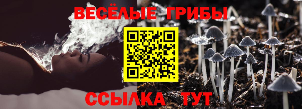 Белая Калитва  Псилоцибиновые грибы Magic Shrooms  Вход с VPN 